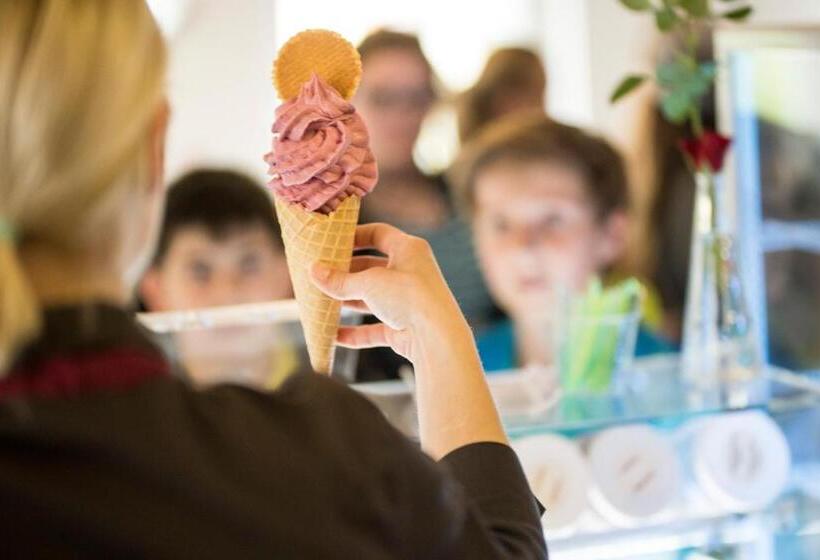 فندق Pension Am Brunnen