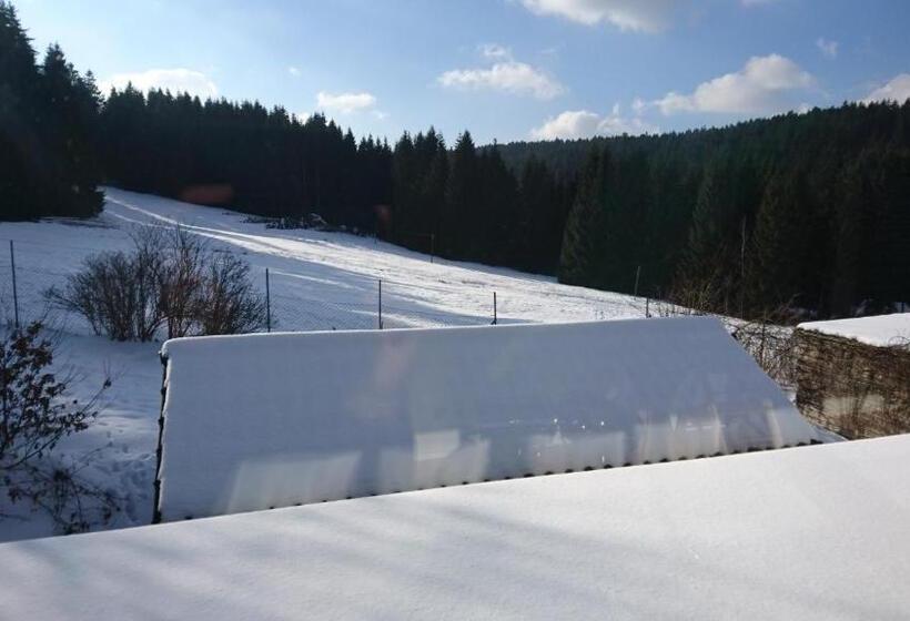 בית מלון כפרי Quellenhof Altenau