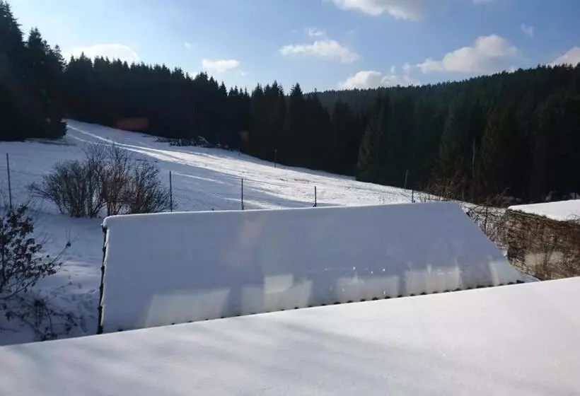 Hotelli Quellenhof Altenau