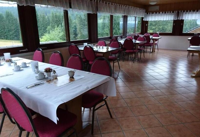 בית מלון כפרי Quellenhof Altenau