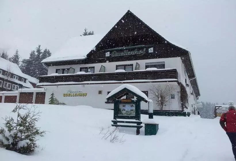 Hotelli Quellenhof Altenau