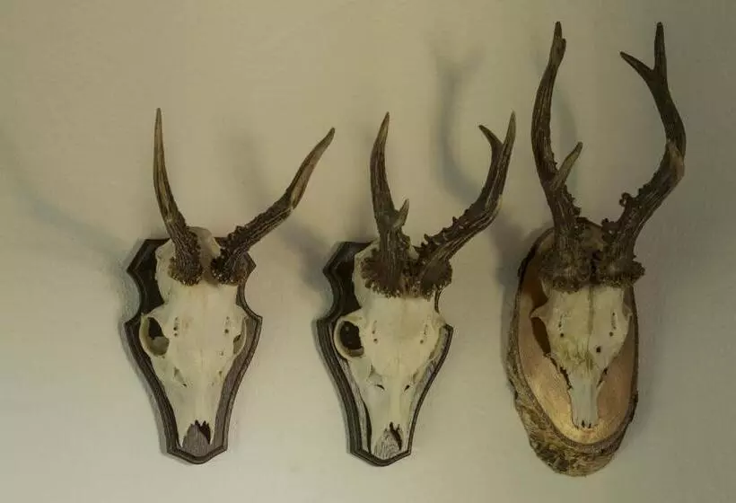 Hotelli Restaurant Häsfeld