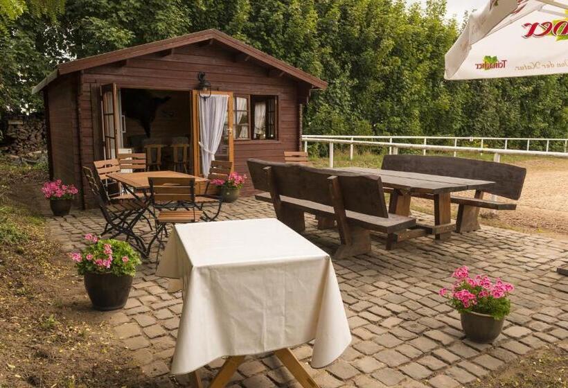 호텔 Restaurant Häsfeld