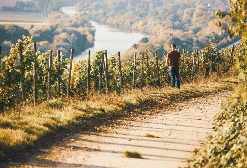 ホテル Weingut Pastoriushaus   Artur Steinmann