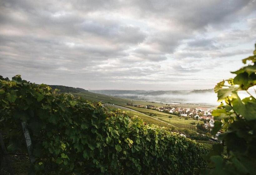 בית מלון כפרי Weingut Pastoriushaus   Artur Steinmann