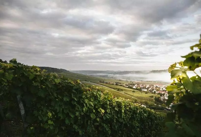 ホテル Weingut Pastoriushaus   Artur Steinmann