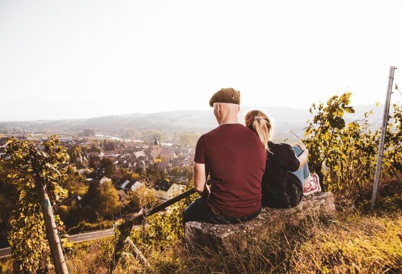 בית מלון כפרי Weingut Pastoriushaus   Artur Steinmann