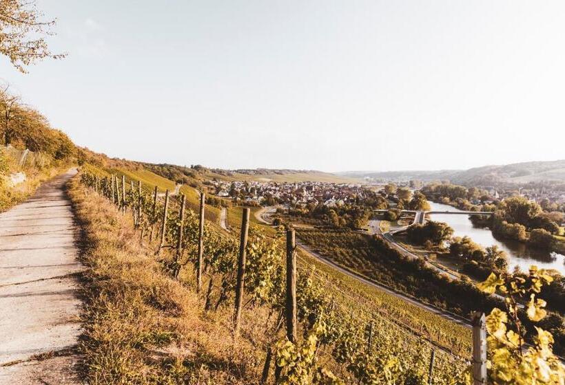 בית מלון כפרי Weingut Pastoriushaus   Artur Steinmann