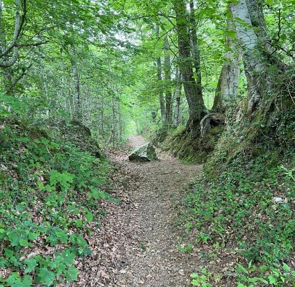 민박 Manoir De La Prise Tarot