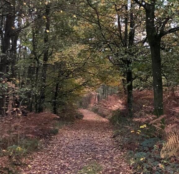 민박 Manoir De La Prise Tarot