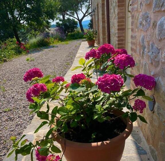 ホテル Podere Stabbiatelli