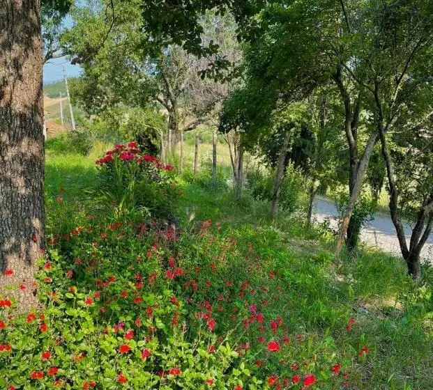 ホテル Podere Stabbiatelli