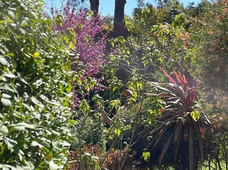 Aamiaismajoitus (B&B) Mas Del Flor