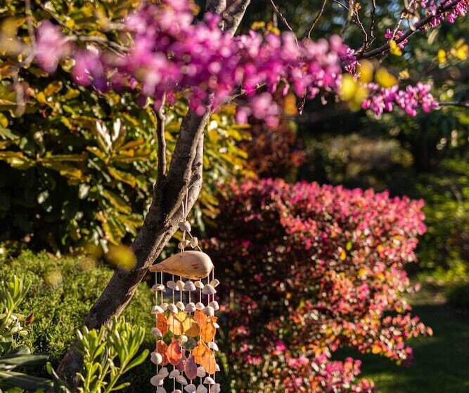 צימר Mas Del Flor