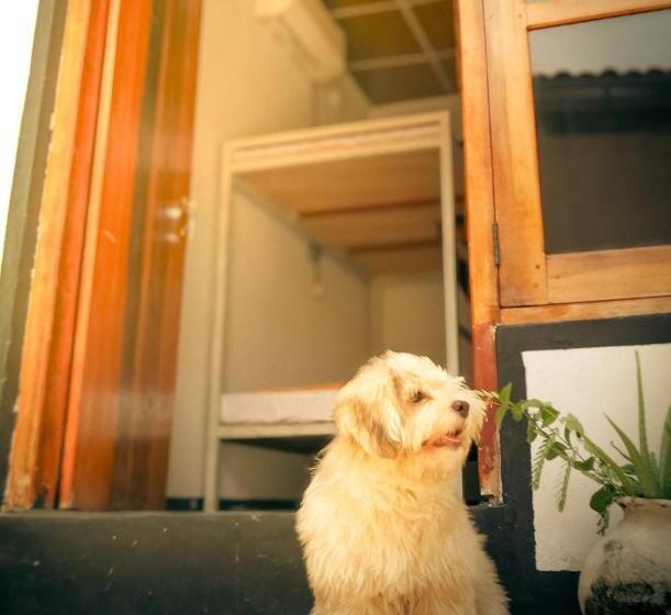 Pensió Bay Surf Hostel