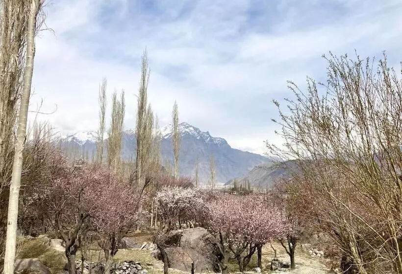 پانسیون Des Dastaan