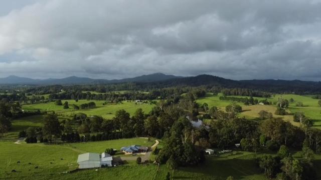 פנסיון Nambucca Valley Hideaway