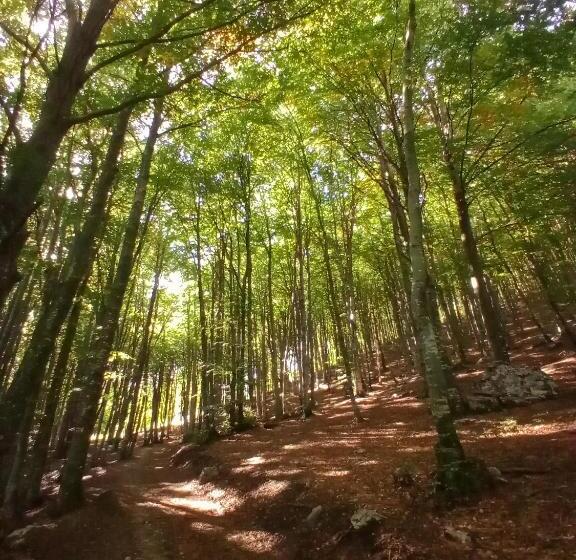 צימר Il Giardino Di Crès