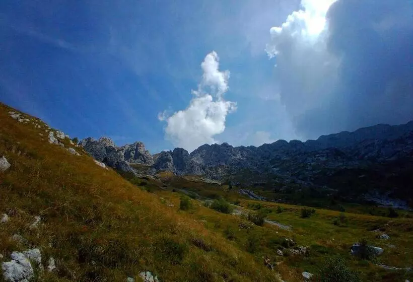 Aamiaismajoitus (B&B) Il Giardino Di Crès