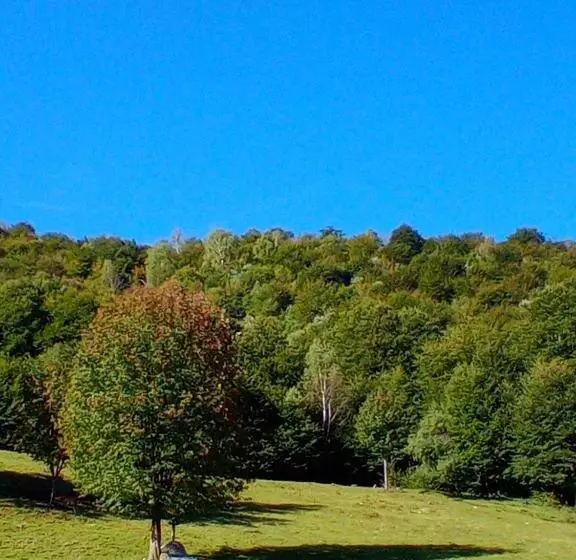 Aamiaismajoitus (B&B) Il Giardino Di Crès