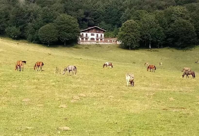 Aamiaismajoitus (B&B) Il Giardino Di Crès