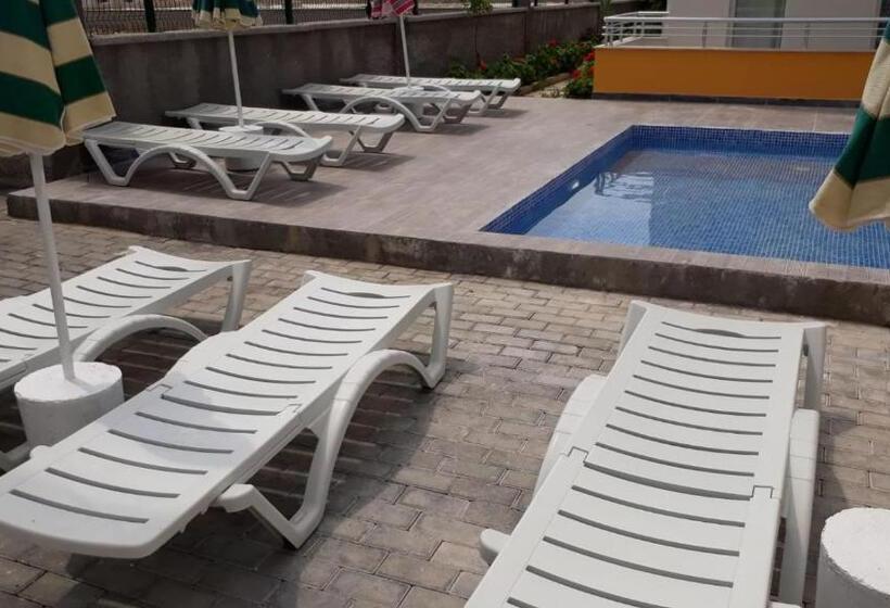 Krali̇yet Konaklari