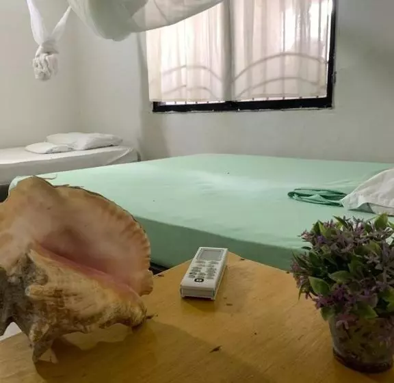 Taida Experiences Hostel