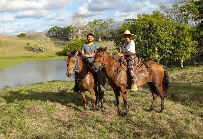 Taida Experiences Hostel