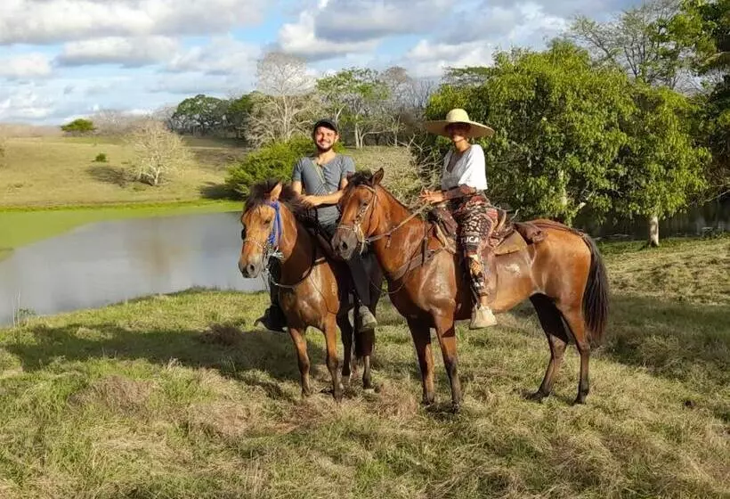 Taida Experiences Hostel