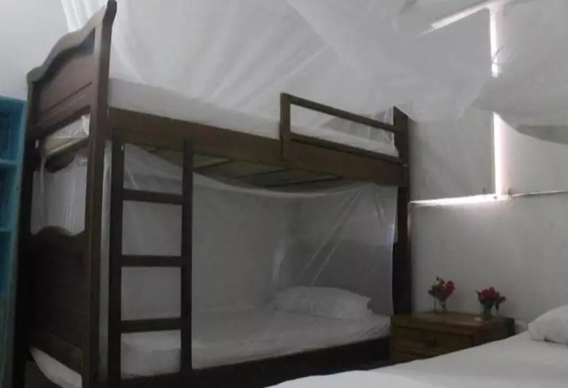 Taida Experiences Hostel