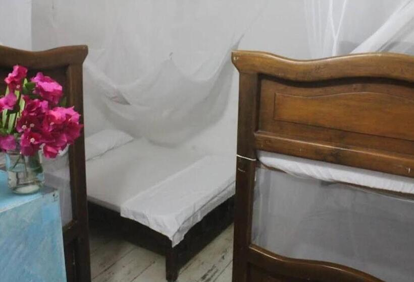 Taida Experiences Hostel