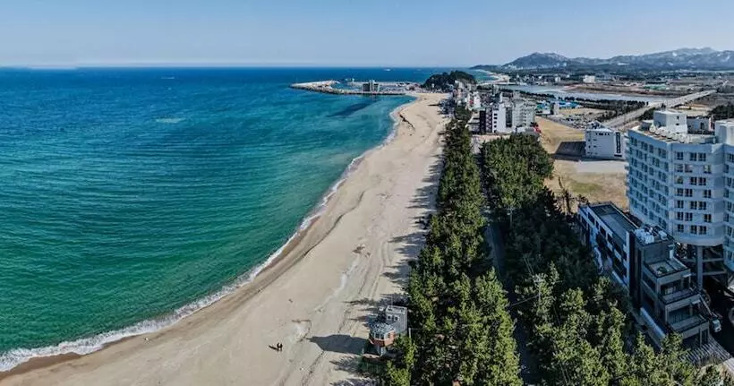 Hotelli Gangneung Pineart Label