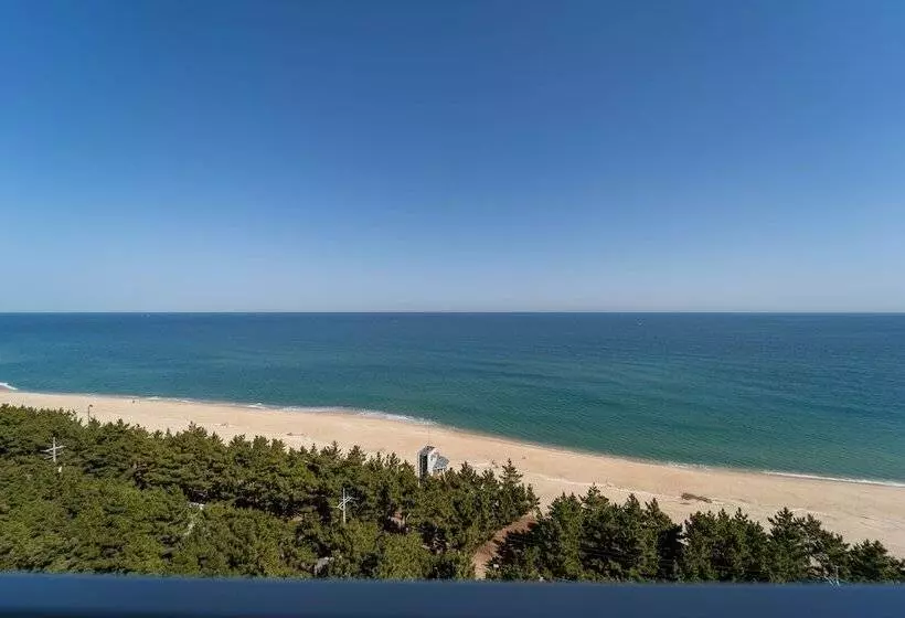 Hotelli Gangneung Pineart Label