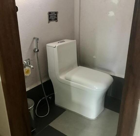 Hotel Island Lyfe Adventures