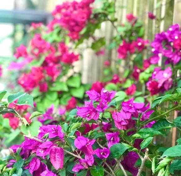 Hotel Island Lyfe Adventures