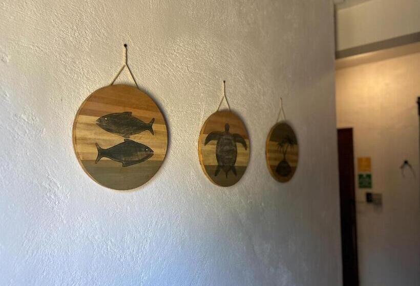 Hotel Island Lyfe Adventures