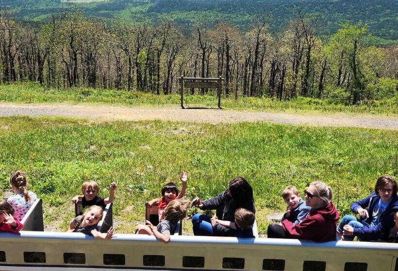 מוטל Executive Inn