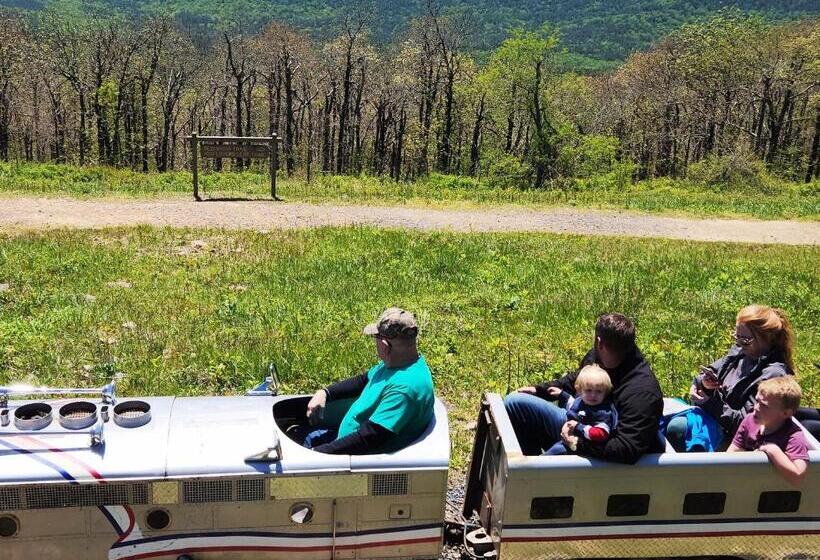 מוטל Executive Inn