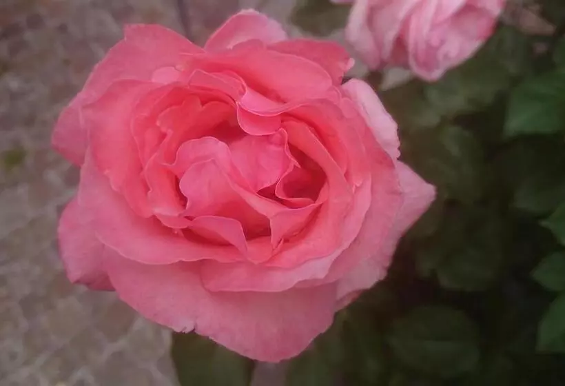 Hotelli Garni Demmel