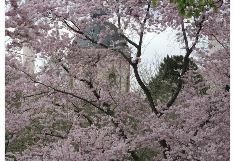 ホテル Gastehaus Am Schloss