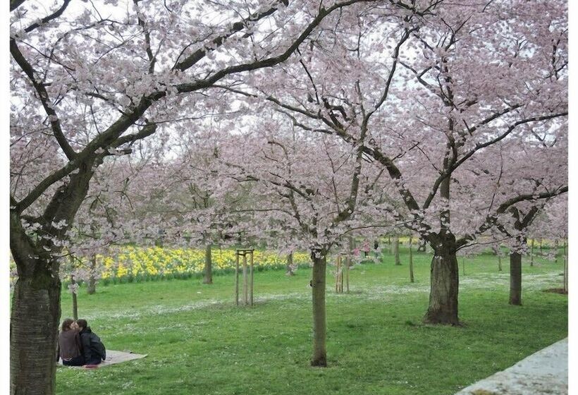 ホテル Gastehaus Am Schloss