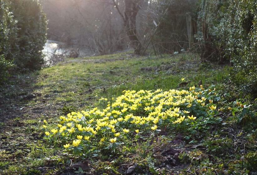 酒店 Haus Am Bach Gemütliche Pension
