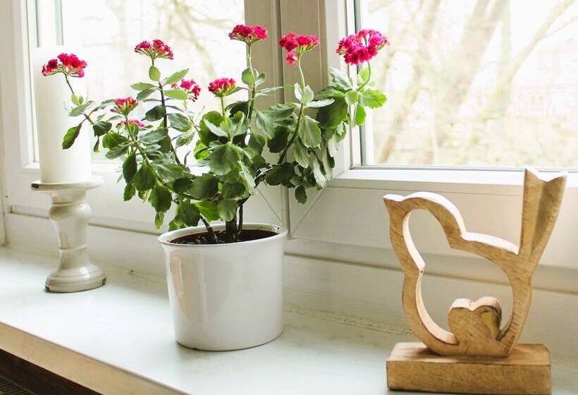 酒店 Haus Am Bach Gemütliche Pension