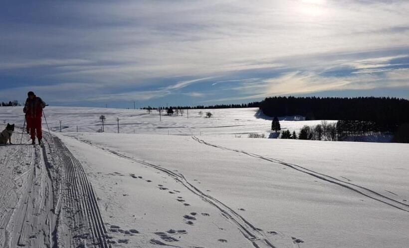 Отель Haus Linde Frauenwald Am Rennsteig
