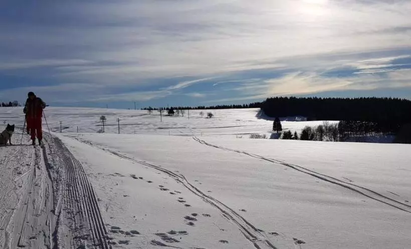 Hotelli Haus Linde Frauenwald Am Rennsteig