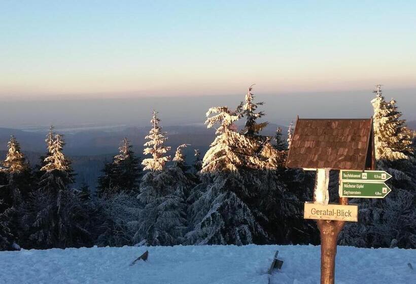 Отель Haus Linde Frauenwald Am Rennsteig