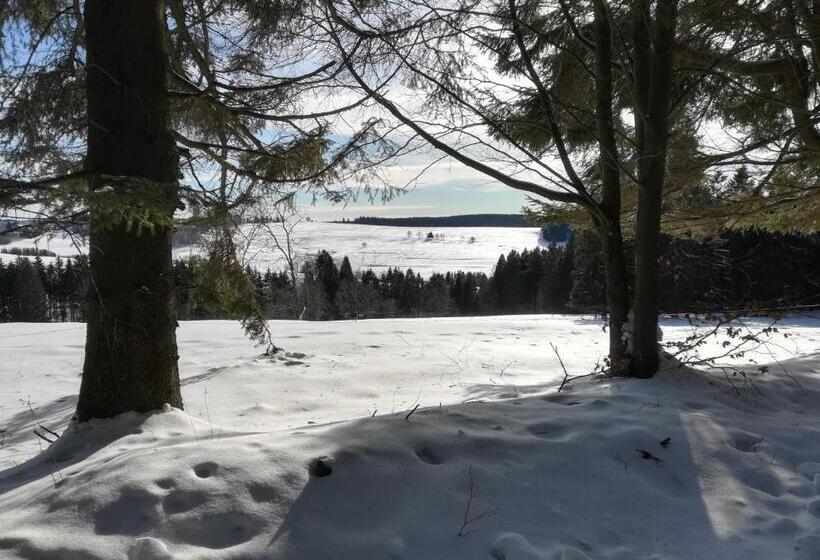 Отель Haus Linde Frauenwald Am Rennsteig