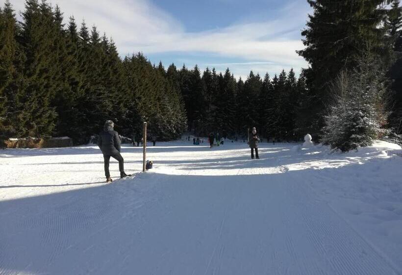 Отель Haus Linde Frauenwald Am Rennsteig