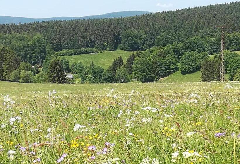 Отель Haus Linde Frauenwald Am Rennsteig