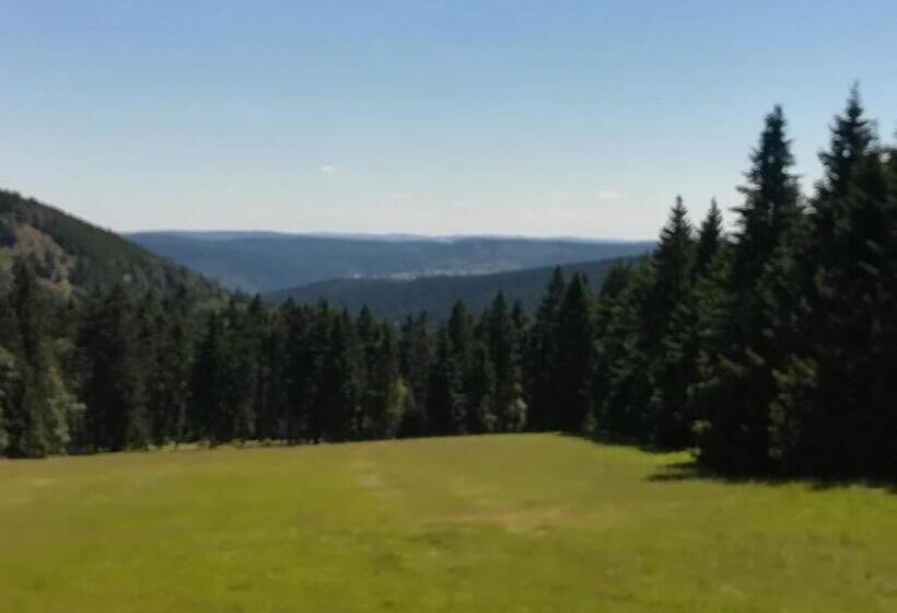 Отель Haus Linde Frauenwald Am Rennsteig